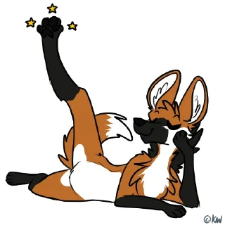 ⭐️