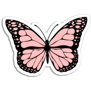 🦋