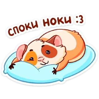 😴