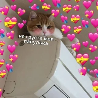💝