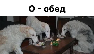 🍜