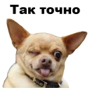 😉