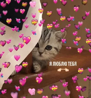❤️