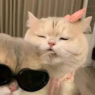 🎀