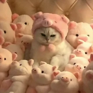 😡