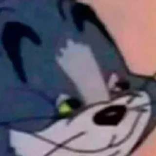 😼