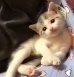 😗