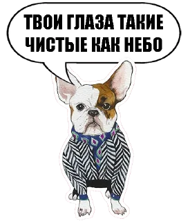 Sobachki