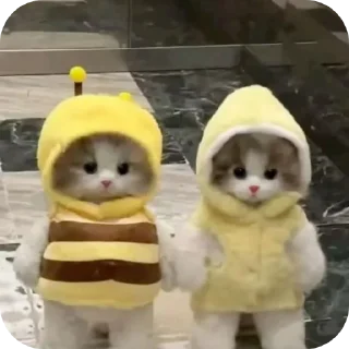 🧸