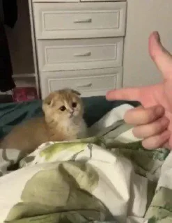 🔫