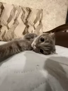 😇
