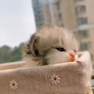 🙂