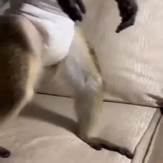 🍒