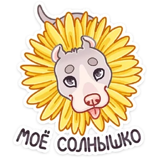 ☀