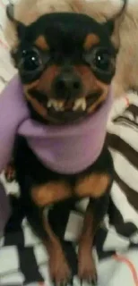 😁