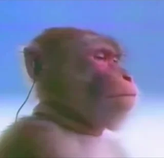 😑