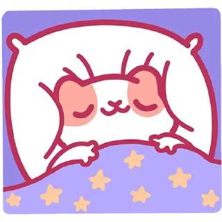 😴