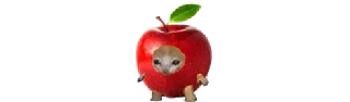 🍎