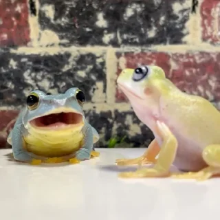 🥰
