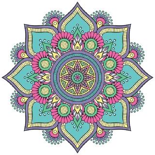 🎨
