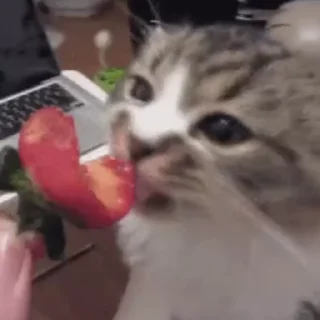 🍓