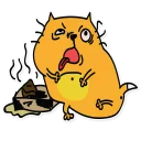 💩