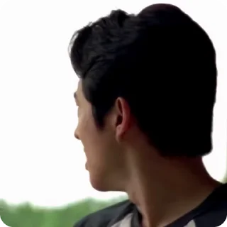🌟