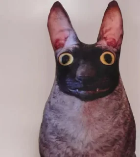 🦇