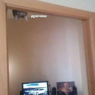 😳