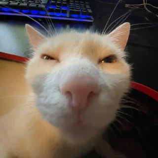 😑