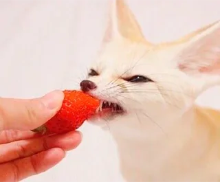 🍓