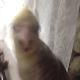 😠