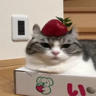 🍓