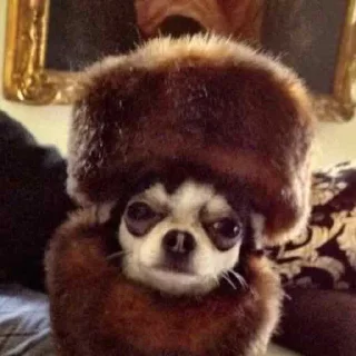 💂‍♀️