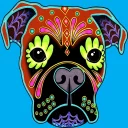 🐶