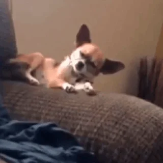 💤