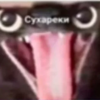 🍞