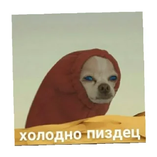 🥶