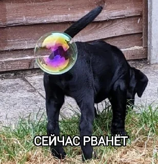 💥