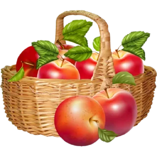 🍎
