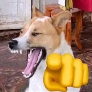 🐶