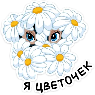 🌼