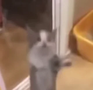 😳