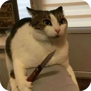 😡