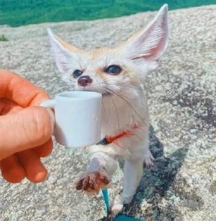 ☕️