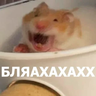 🤣