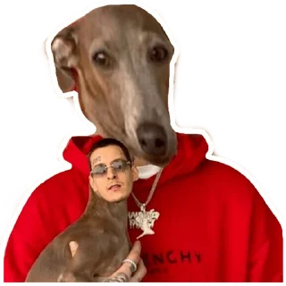 🐶