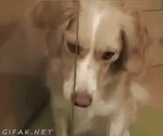 😁