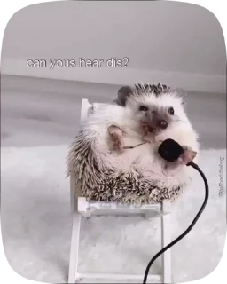 👅