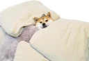 😴